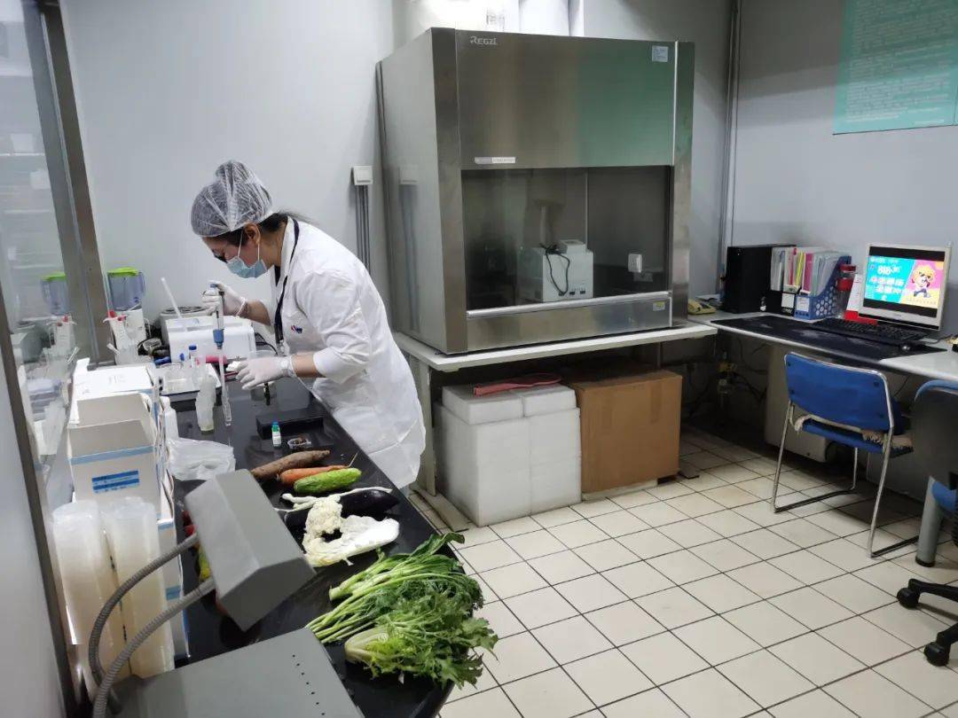 红河食品检测实验室装修方案